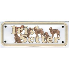 Irish Setter